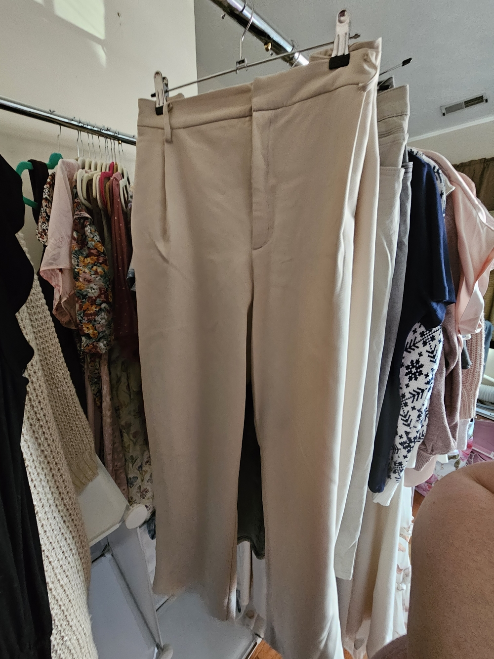 Women's Wide-Leg Dress Pants in Light Beige